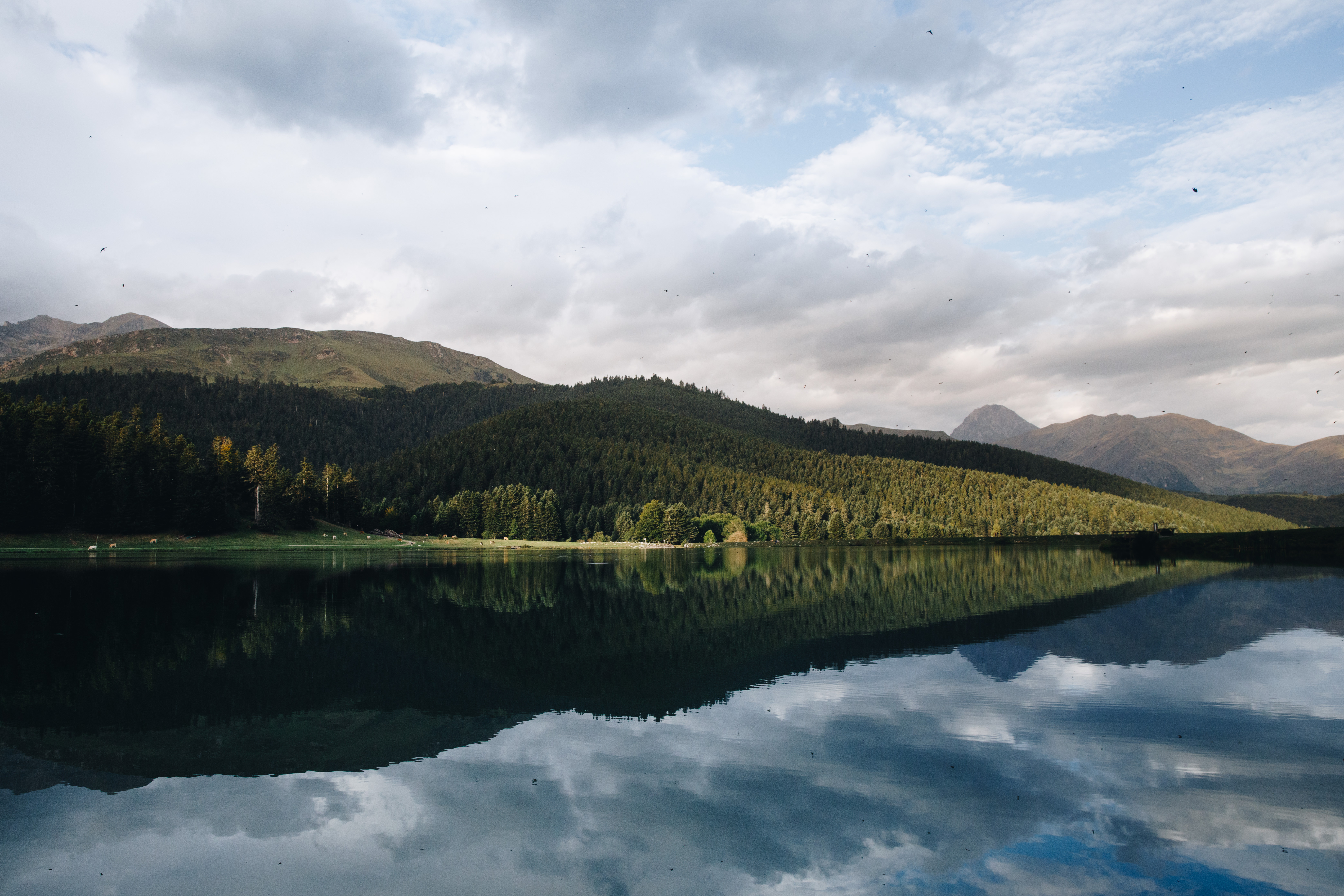 lac et verdure - credit photo Emilie Eychenne